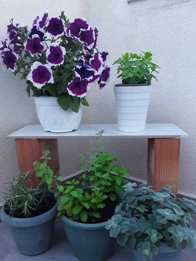 Near The Airport Kiriaki'S House Apartment Heraklion  Greece
