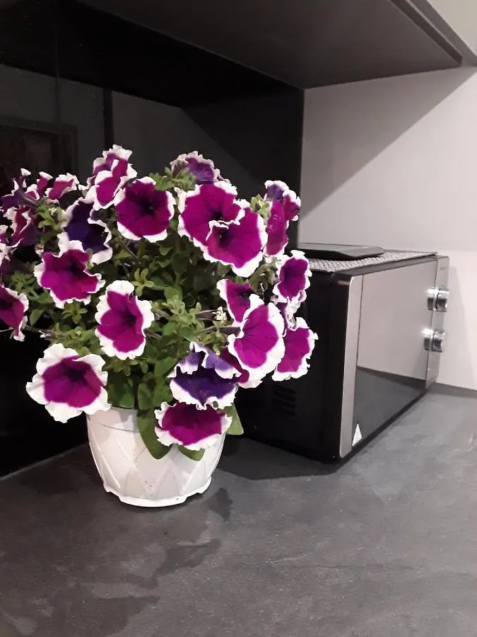 Near The Airport Kiriaki'S House Apartment Heraklion   Heraklion (Crete)